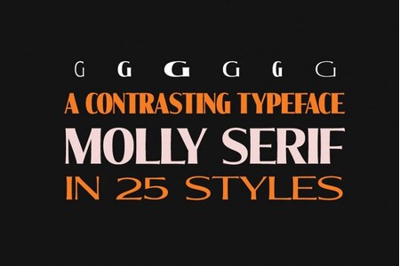 Molly Serif C PERSONAL font