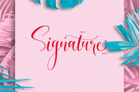 Angelina font