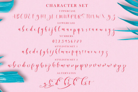 Angelina font