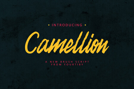 Camellion font