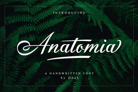 Anatomia Free font