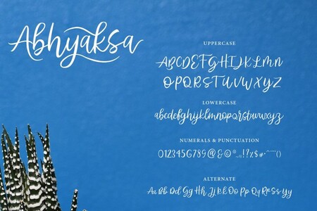 Abhyaksa FREE font