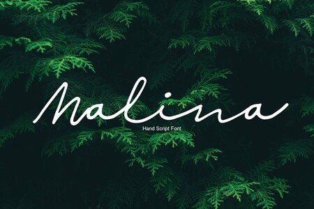 Malina1 font
