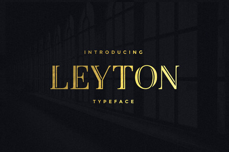 Leyton Personal font