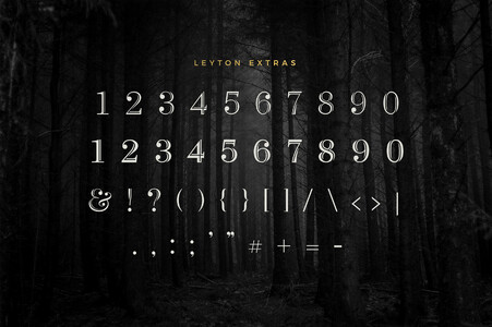 Leyton Personal font