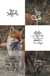 Fox Typeface Fox Tail font