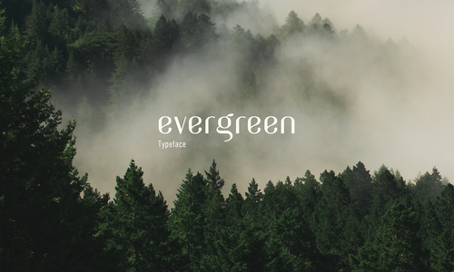 Evergreen font