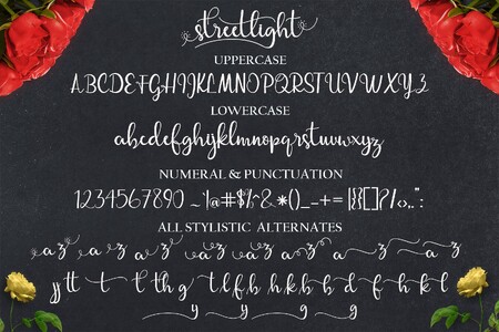 streetlight font