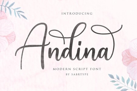 Andina Demo font