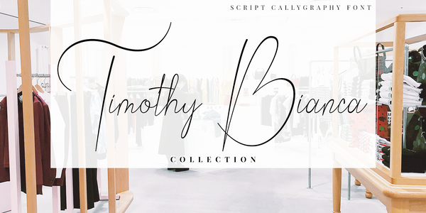 Bordershine Script font