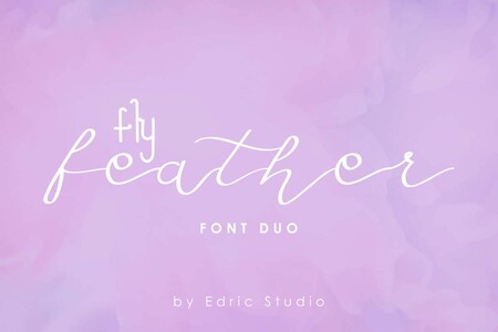 Fly Featherdemo Script font