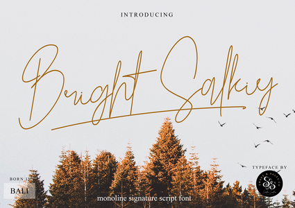 Bright Salkiy font