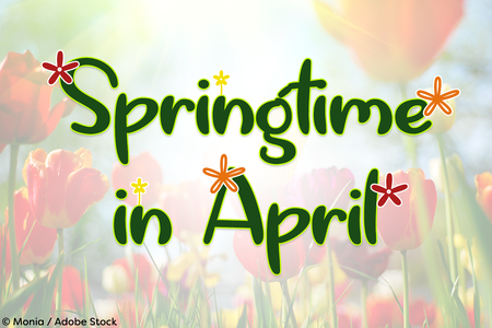 Springtime in April font