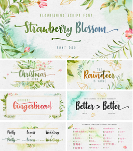 Strawberry Blossom font