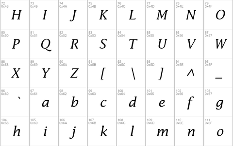 Insight SSi Italic