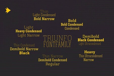 Triunfo Light Condensed Rustik font