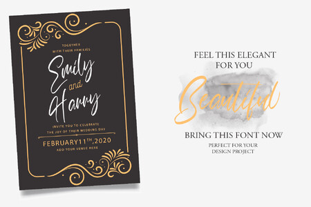 Calligrapher Free Personal Use font