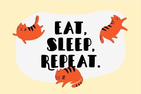 SleepyFatCat font