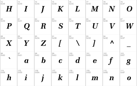 Protocol SSi Bold Italic