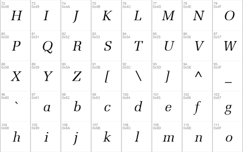 Protocol SSi Italic