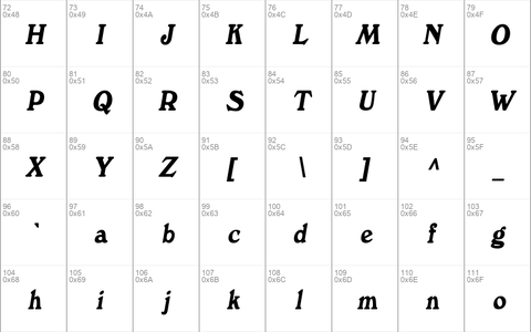 DictionaryCondensed Italic