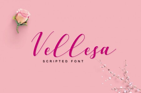 Vellesa Script font