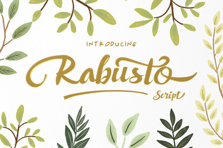 Rabusto font