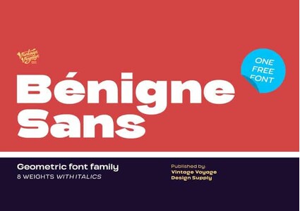 VVDS Benigne Sans