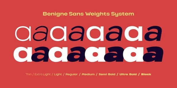 VVDS Benigne Sans