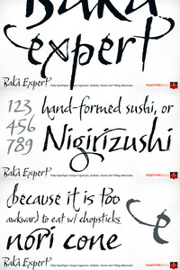 BakaExpert font