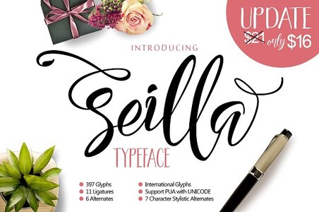 Seilla Script font