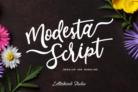 Modesta font