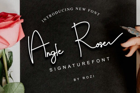 Angle Rose PU