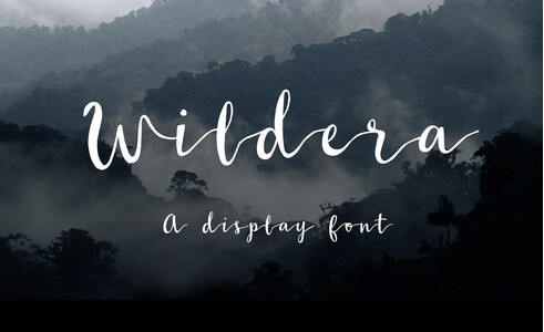 Wildera font