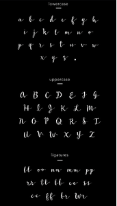 Wildera font