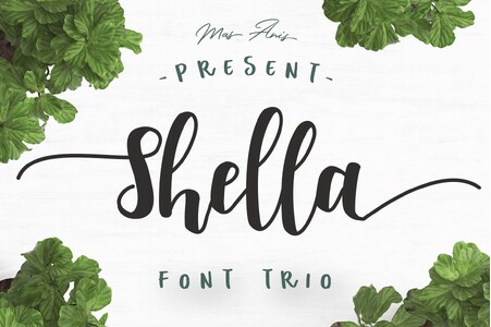 Shella Clean font