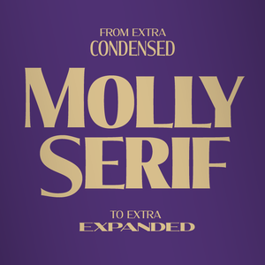 Molly Serif E PERSONAL font