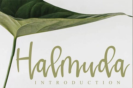 Halmuda