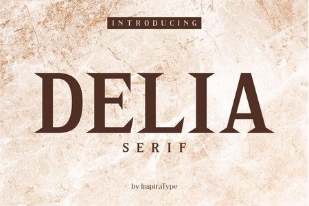 DELIA Bold FREE font
