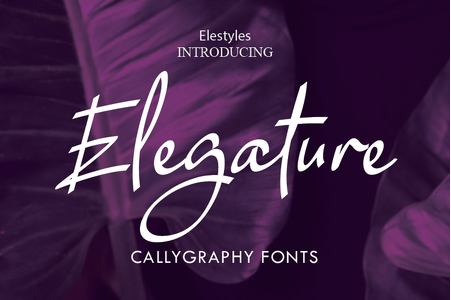 Elegature font