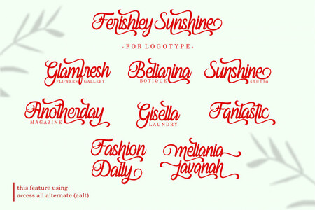 Ferishley Sunshine font