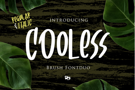 Cooless italic font