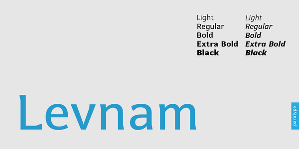 Levnam-BlackItalic font