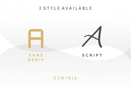 Exninja Demo font