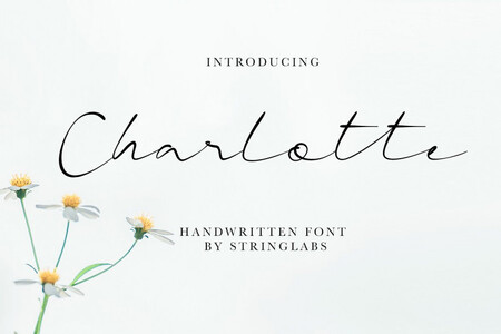 Charlotte font