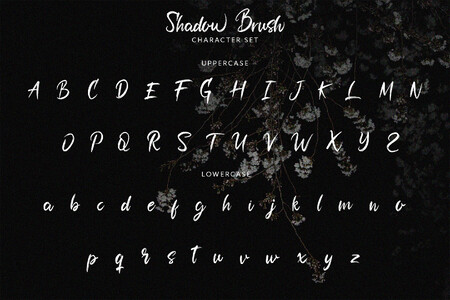 Shadow Brush font