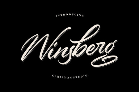 Winsberg font