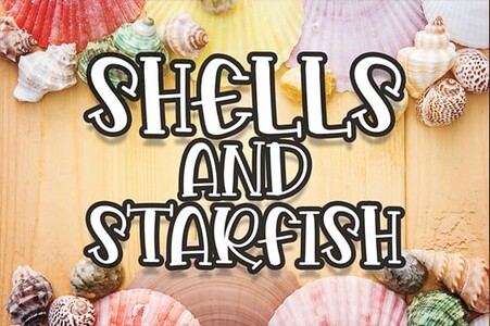 Shells And Starfish