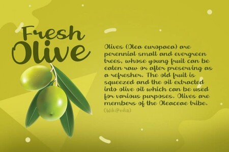 Fresh Olive