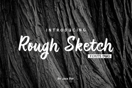 RoughDuo font